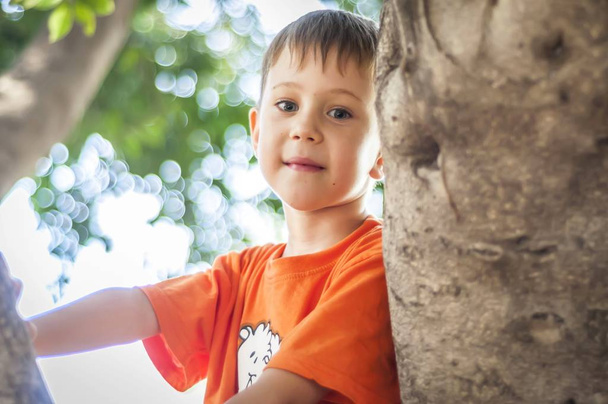 Милий дитина кавказьких синім очей в помаранчевий футболку сходження дерева в парку або ліс. Розмитість фону. - Фото, зображення