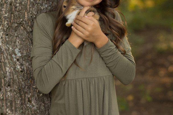 Mädchen mit braunem Haar hält ein kleines, braunes mit weißem Kaninchen in Kinderhänden auf grünem Grund, Frühling. das Kind streichelt das Kaninchen, umarmt es, zärtlich - Foto, Bild