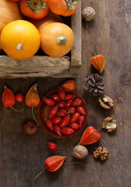 autumn still life with pumpkins and berries - Valokuva, kuva