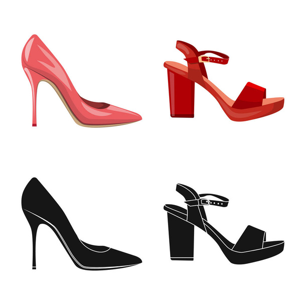Vector design of footwear and woman icon. Collection of footwear and foot stock symbol for web. - Vector, imagen