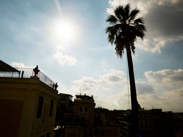 Piazza di Spagna Roma'da bir palmiye ağacı silüeti - Fotoğraf, Görsel