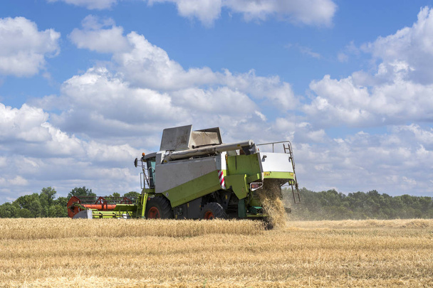 birleştirme-hasat alanında tahıl ürünleri, çavdar, buğday hasat toplamak için - Fotoğraf, Görsel
