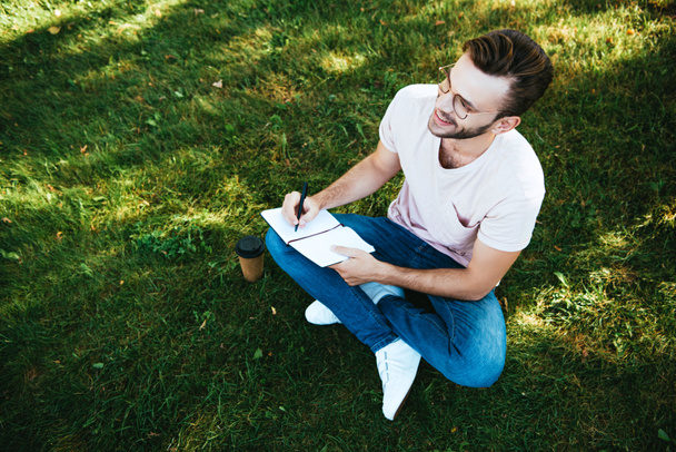 high angle view of handsome man making notes on green grass in park - 写真・画像