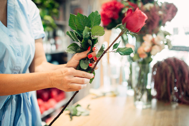 Female florist holds fresh red roses flower shop. Floristry business, bouquet making - 写真・画像