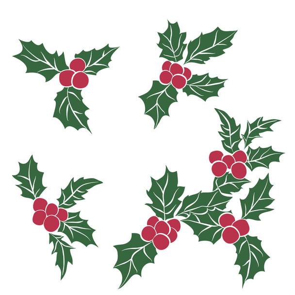 set of Christmas holly leaves.Branch Of Green Leaves and Red Berries. - Vector, imagen
