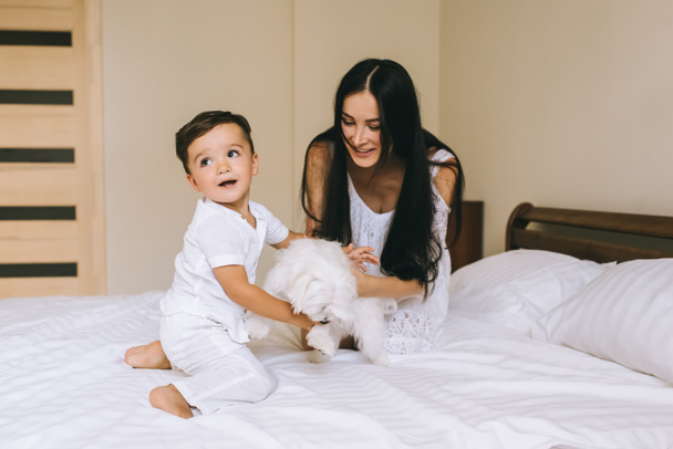 feliz joven madre y el niño jugando con el perro bichon mientras está sentado en la cama en casa
 - Foto, imagen