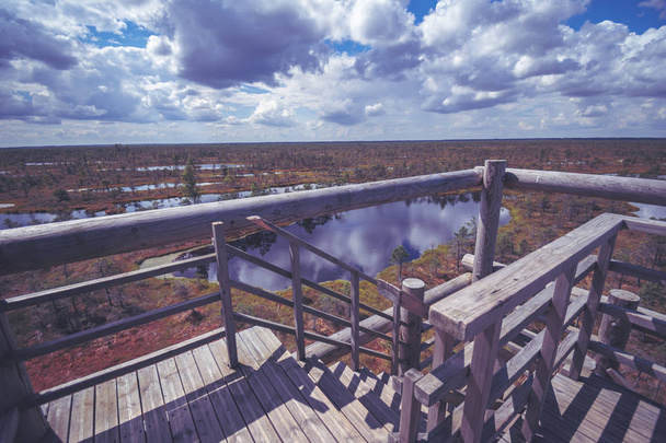 fából készült gyalogút felhős kék ég, a háttérben a mocsárban - Fotó, kép
