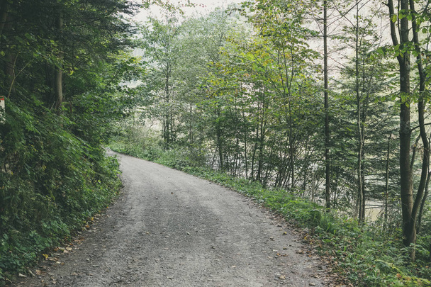 simple country gravel road in summer at countryside forest with trees  - Photo, Image