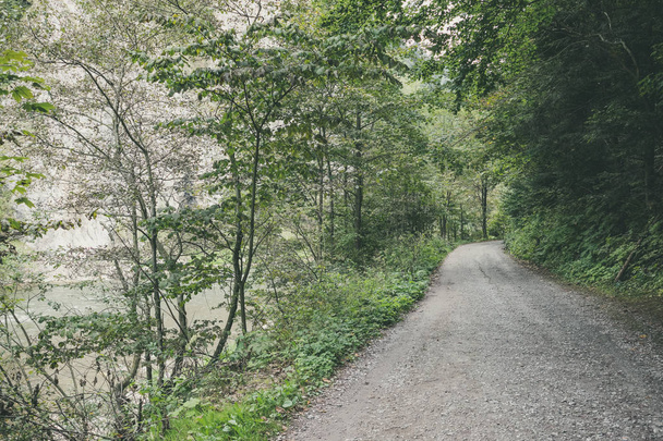 simple country gravel road in summer at countryside forest with trees  - Foto, Bild