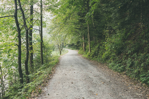 simple country gravel road in summer at countryside forest with trees  - Photo, Image