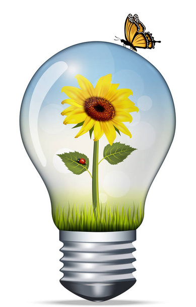Illustrazione vettoriale di una lampadina con girasole e coccinella e sulla sommità di una farfalla, concetto ambientale, energia verde e conservazione della natura
 - Vettoriali, immagini