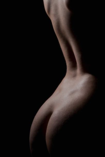 Ass close up - Valokuva, kuva