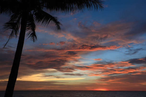 palmeira na praia tropical durante o belo pôr do sol
 - Foto, Imagem