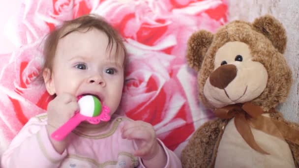 Baby plays with rattle and teddy bear. - Footage, Video