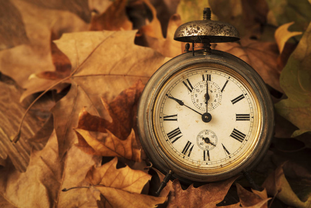 夏の終わりと秋の始まりを描いた、乾燥した葉に囲まれた古くてさびた目覚まし時計のクローズ アップ - 写真・画像
