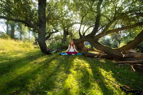 森の中の太陽の下でスポーツ ウエアで自然の中のヨガの練習を行う若い赤髪の女 - 写真・画像