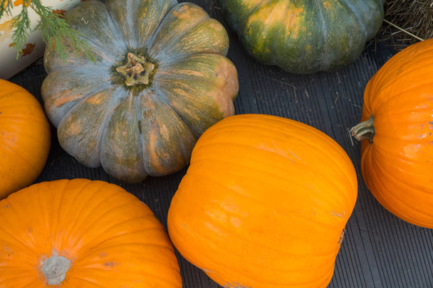 Diverse assortment of pumpkins on a wooden background. Autumn harvest. - Fotó, kép