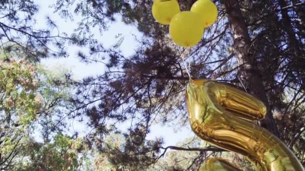 Slow motion. Yellow emoji balloons at little boy birthday party in the park. - Footage, Video