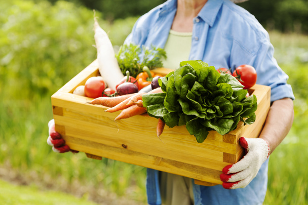 Femme âgée tenant boîte avec légumes
 - Photo, image