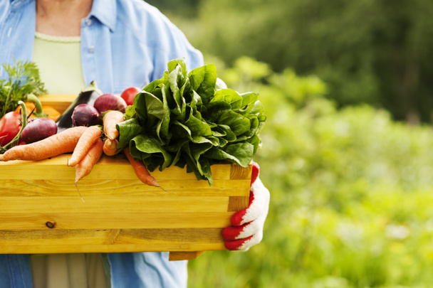 Senior woman holding box with vegetables - Photo, Image