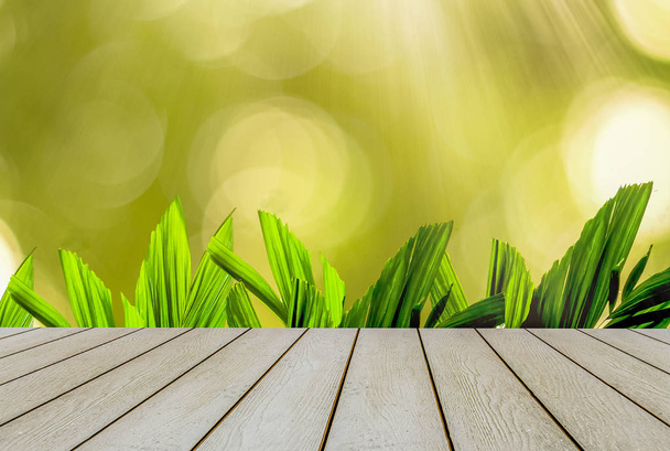 Jasny zielony palm pozostawia początku wiosny, z żółtym i jasne bokeh z promieni słonecznych i drewniane podłogi. Naturalne piękno miejsca kopiowania i lokowanie produktu. - Zdjęcie, obraz