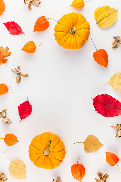 Creatieve Top weergave plat leggen herfst samenstelling. Pompoenen gedroogd oranje bloemen bladeren achtergrond kopie ruimte. Sjabloon frame val oogst thanksgiving halloween verjaardag uitnodigingen - Foto, afbeelding