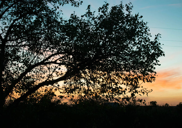 naplemente gyönyörű vidéki háttér-design - Fotó, kép
