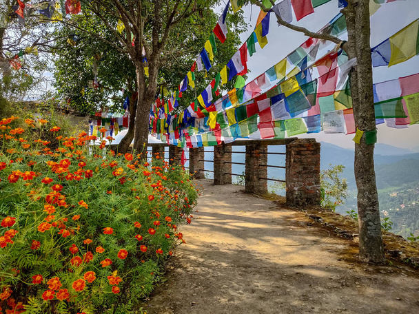 Garden marigold flowers with prayer flags - Photo, Image