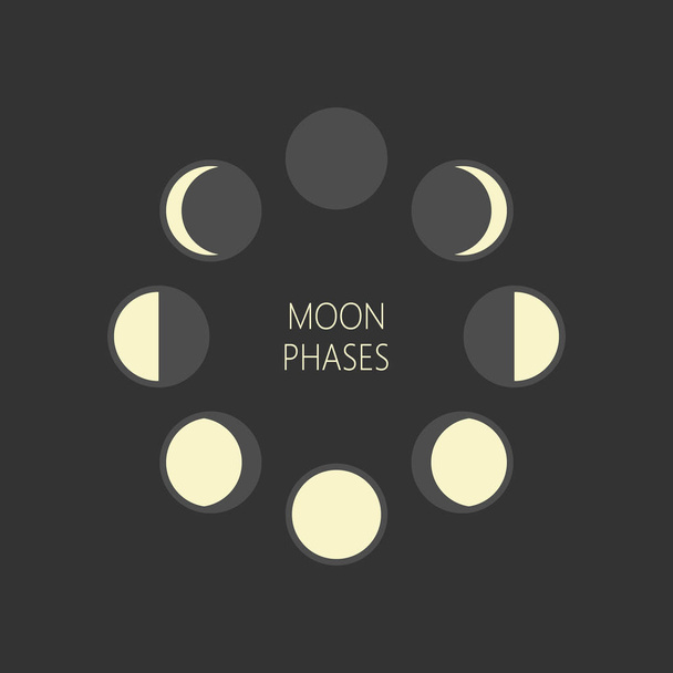 月の段階は円形ベクトル図です。ムーン フェーズのサイクル、新月満月アイコン. - ベクター画像