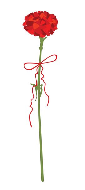 Kukkakaali
 - Vektori, kuva