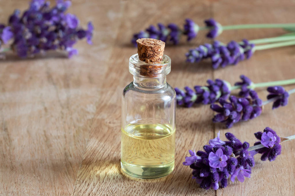 A bottle of essential oil with fresh blooming lavender twigs and copy space - Foto, Imagem