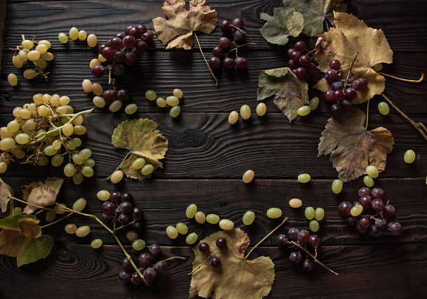 Bunches of white and dark grapes, dry leaves on the dark wooden surface. Top view - Photo, Image