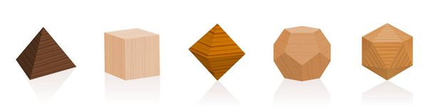 Platonic solids. Wooden parts from different trees. Geometric woodwork sample set with various colors, glazes, textures. Isolated vector on white background. - Vector, Image