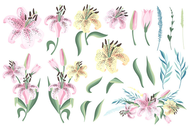 Rózsaszín és sárga liliom levelek gyűjteménye. Vektoros illusztráció - Vektor, kép
