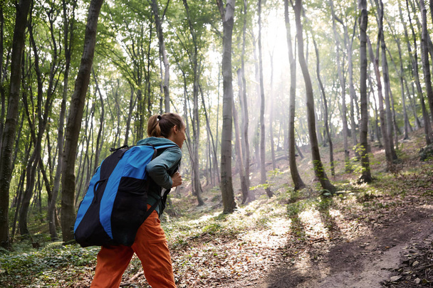 active woman hiking in the forest - 写真・画像