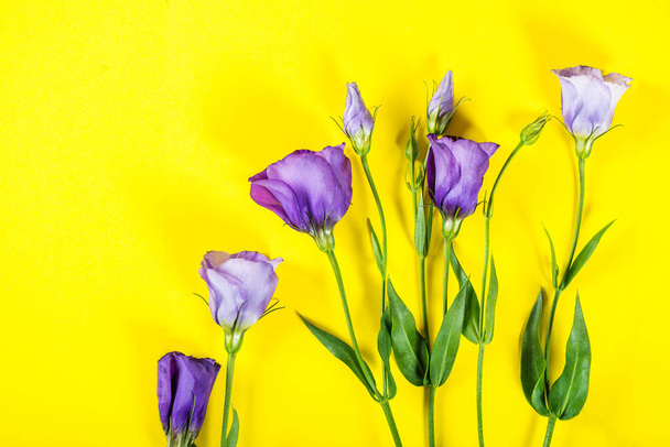 Όμορφα λουλούδια μπουκέτο των μοβ Eustoma, Lisianthus, - Φωτογραφία, εικόνα