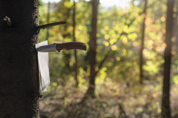 Cuchillo perforando un montón de páginas vacías del libro y fijándolas a un tronco de árbol, en un bosque caducifolio, en un día soleado de octubre, en Alemania
. - Foto, Imagen