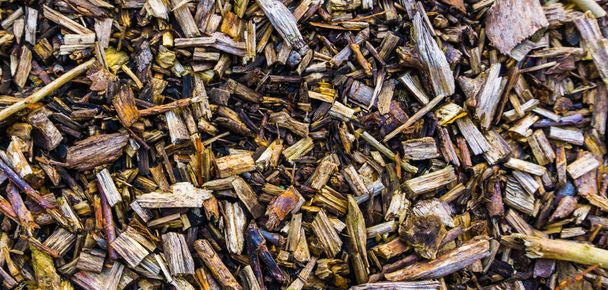 Wood chips in different sizes and with branches ground texture background - Photo, Image