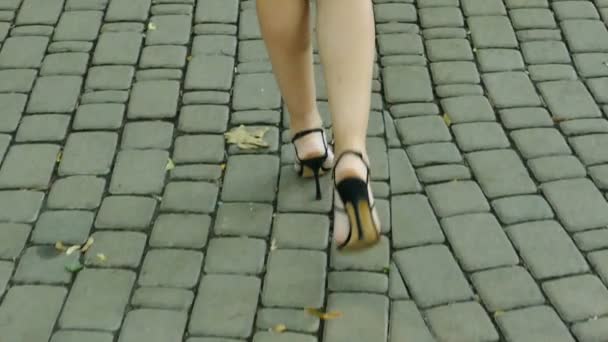 スローモーション.性的な調和のとれた女性ハイヒールの脚。安定したショット、背面図   - 映像、動画