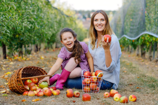 Küçük bir kızın portresi ve organik meyve bahçesinde kırmızı elmalı güzel bir anne. Mutlu kadın ve küçük kız ağaçlardan meyve topluyor ve eğleniyorlar. Aile için hasat mevsimi. - Fotoğraf, Görsel