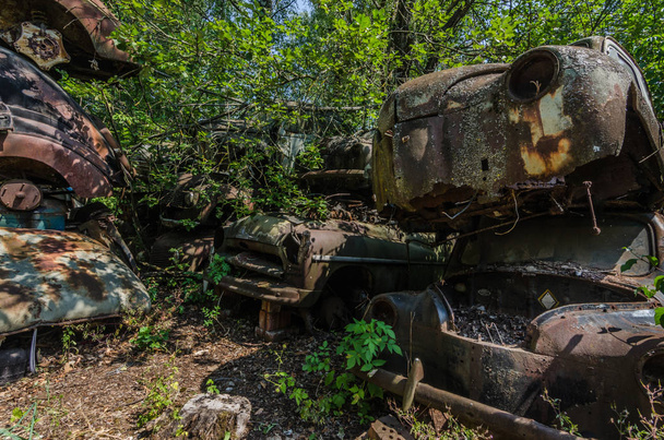 Zardzewiałe starego samochodu na zarośnięte miejsce w lesie - Zdjęcie, obraz