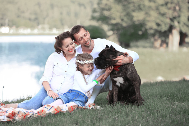 happy family with pet dog at picnic in a Sunny summer day. pregn - Photo, image
