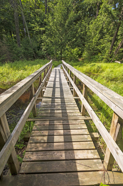 Wooden Footbridge on a Wilderness Path on the Lake of the Woods Trail in Killarney Festival Park in Ontario, Canada
 - Фото, изображение