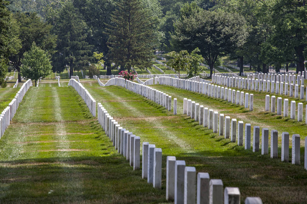 hautoja Arlingtonin hautausmaalla Washingtonissa
 - Valokuva, kuva