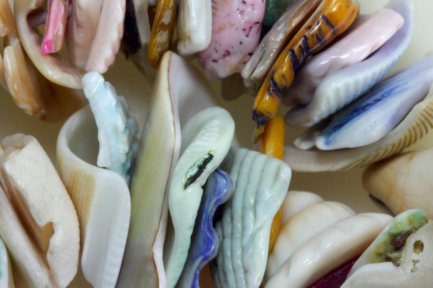 Los trozos de color de los fregaderos de los moluscos
 - Foto, imagen