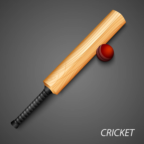 Kriket pozadí s pálku a míč šablona vektorové eps 10 - Vektor, obrázek