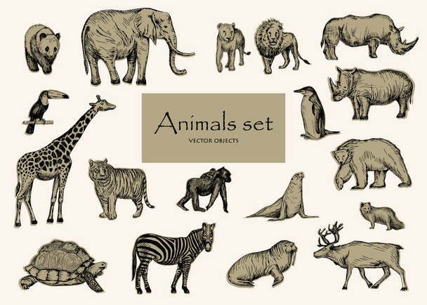 Set di animali disegnati a mano vettoriale
. - Vettoriali, immagini