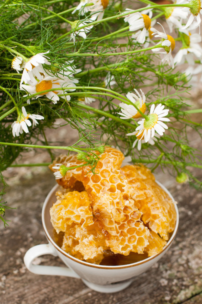 A delicious Honey comb and daisies - Fotografie, Obrázek