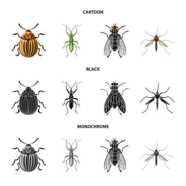 Illustration vectorielle du symbole insecte et mouche. Ensemble de symbole de stock d'insectes et d'éléments pour la toile
. - Vecteur, image