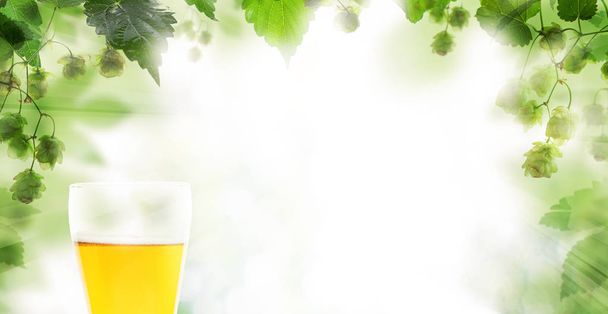 Fondo de cerveza. Vaso de cerveza y hojas de lúpulo
 - Foto, Imagen